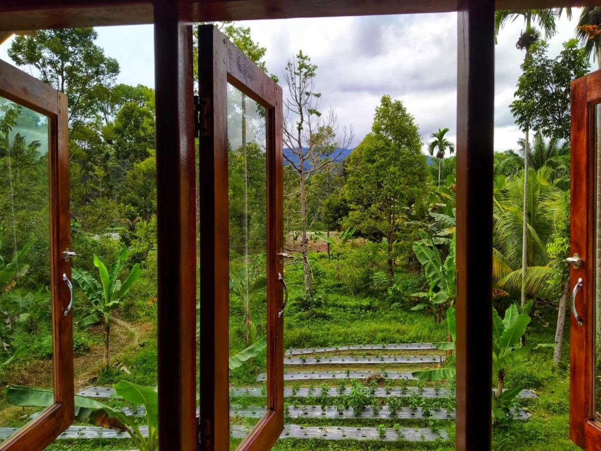 Sumatra Orangutan Discovery Villa ブキットラワン エクステリア 写真